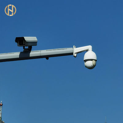 Macchina fotografica d'acciaio Palo L tipi del CCTV tempo di impiego lungo di lunghezza del braccio di 30m - di 1m
