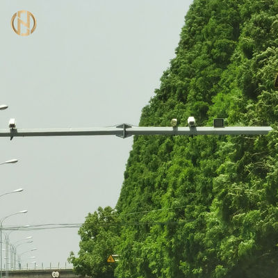 Il tipo ha galvanizzato la macchina fotografica del CCTV dell'acciaio 8M che monta Palo
