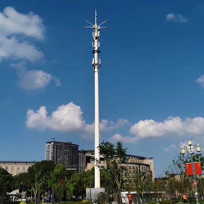 Monopoli di telecomunicazione galvanizzati a caldo su misura con piattaforma o antenna