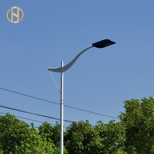 La immersione calda dei 6 tester ha galvanizzato GR65 l'iluminazione pubblica palo